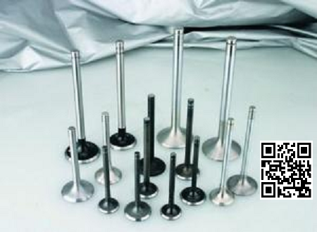 瑞安华达气门制造公司（13353328175）